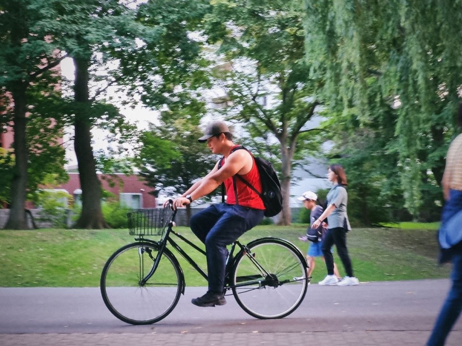 A cyclist riding through a leafy park
