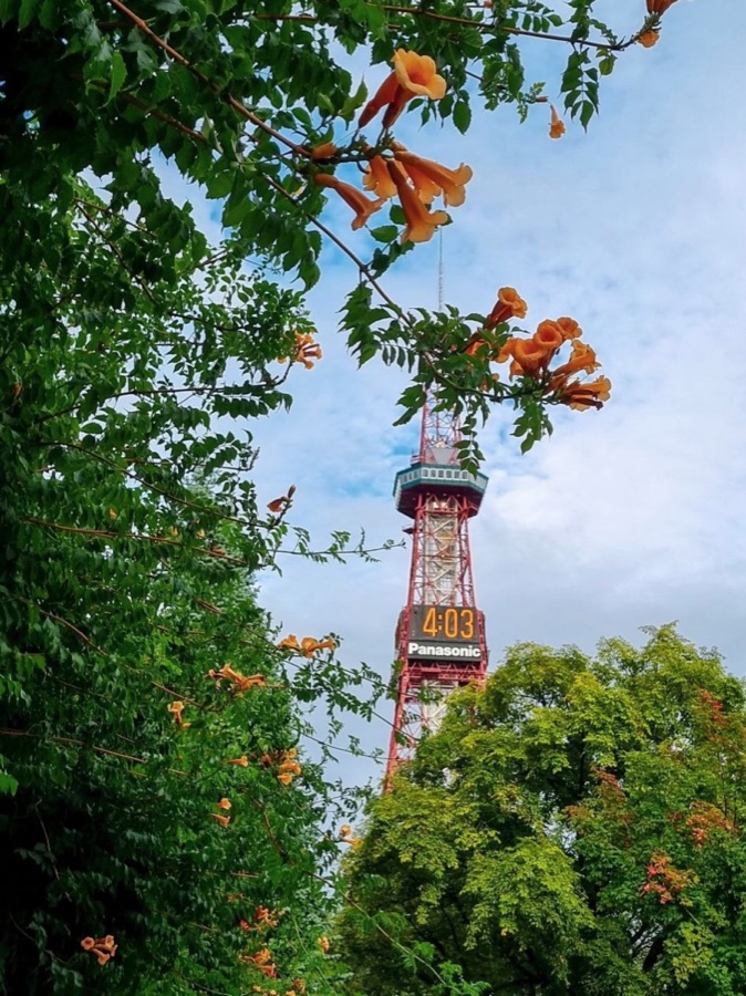 A red observation tower framed by orange flowers