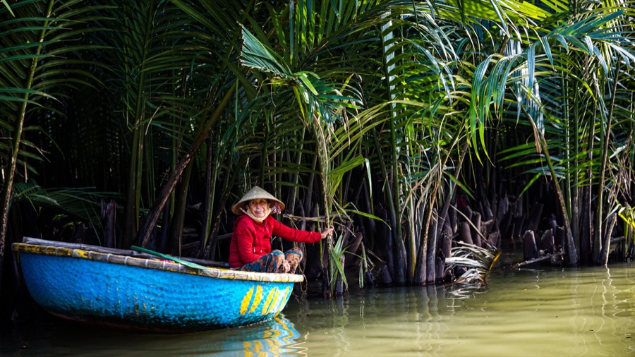 A woman in a blue boat among coconut palms in Vietnam