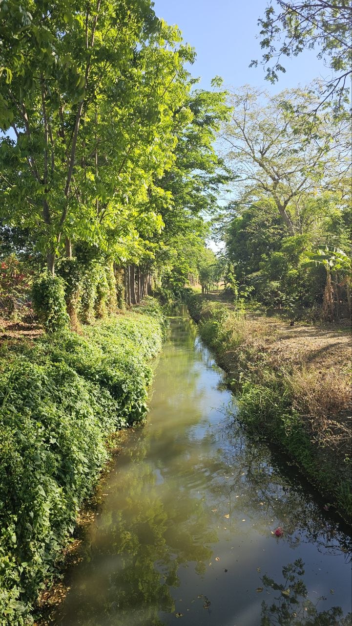 A quiet tree-lined canal in Nueva Ecija